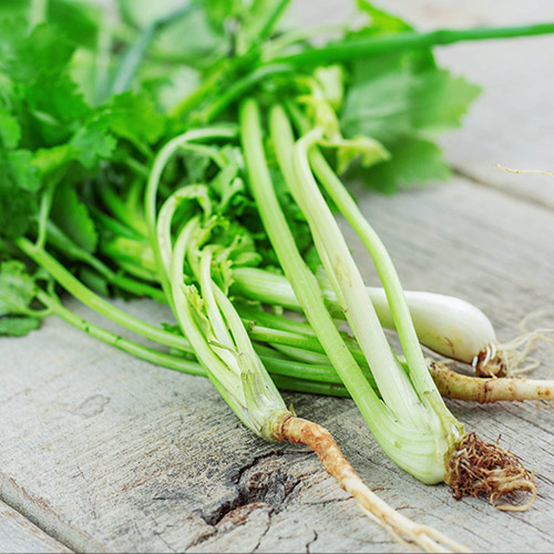 Cần tay Vinapharma chất lượng cao - Ảnh 5