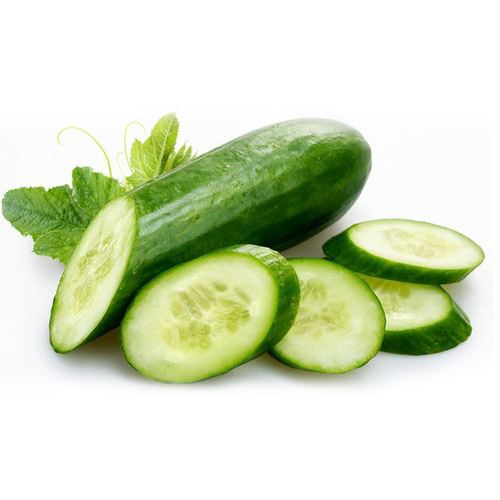 Dưa leo baby sạch chuẩn xuất khẩu